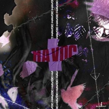 Сэмплы BLVCKOUT Havoc