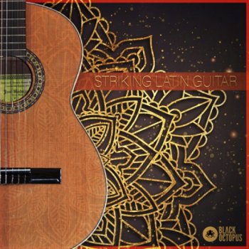 Сэмплы Black Octopus Striking Latin Guitars