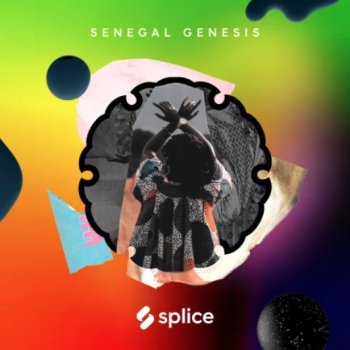 Сэмплы Splice Sessions Senegal Genesis