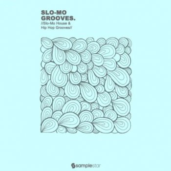 Сэмплы Samplestar Slo Mo Grooves
