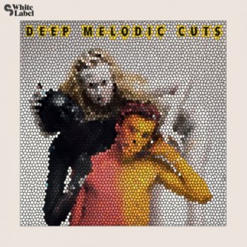 Сэмплы Sample Magic Deep Melodic Cuts