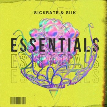 Сэмплы и пресеты - Sickrate & SIIK Essentials - Full Pack