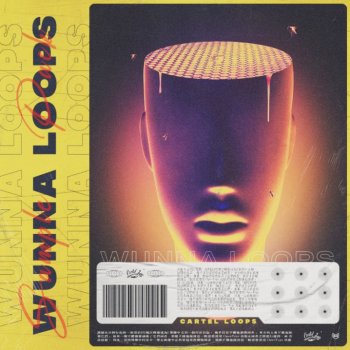 Сэмплы Cartel Loops Wunna Loops