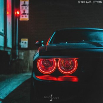 Сэмплы Touch Loops After Dark Rhythms