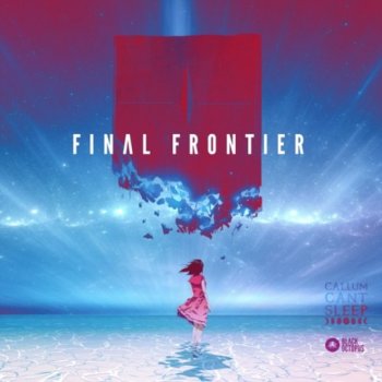 Сэмплы Black Octopus Sound CallumCantSleep Final Frontier