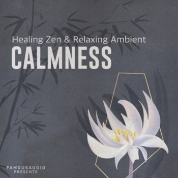 Сэмплы Famous Audio Calmness Healing Zen and Relaxing Ambient