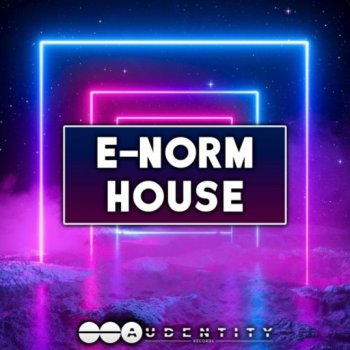 Сэмплы Audentity Records E-Norm House