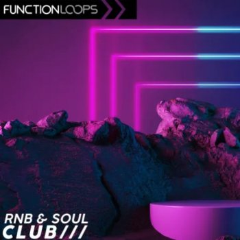 Сэмплы Function Loops Rnb and Soul Club