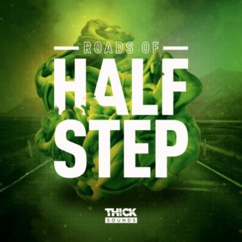 Сэмплы THICK Sounds Roads Of Halfstep