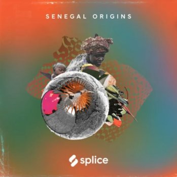 Сэмплы Splice Sessions Senegal Origins