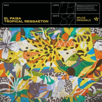 Сэмплы Splice Originals El Paisa Tropical Reggaeton