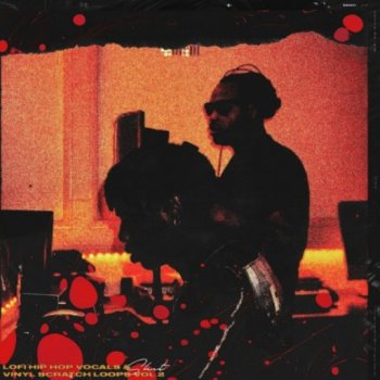 Сэмплы Komorebi Audio Lofi Hip Hop Vocals and Vinyl Scratch Loops Vol 2